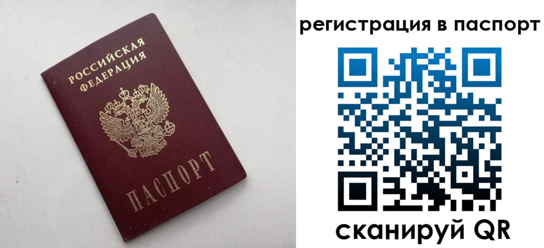 временная регистрация 2025 в Ярославской области